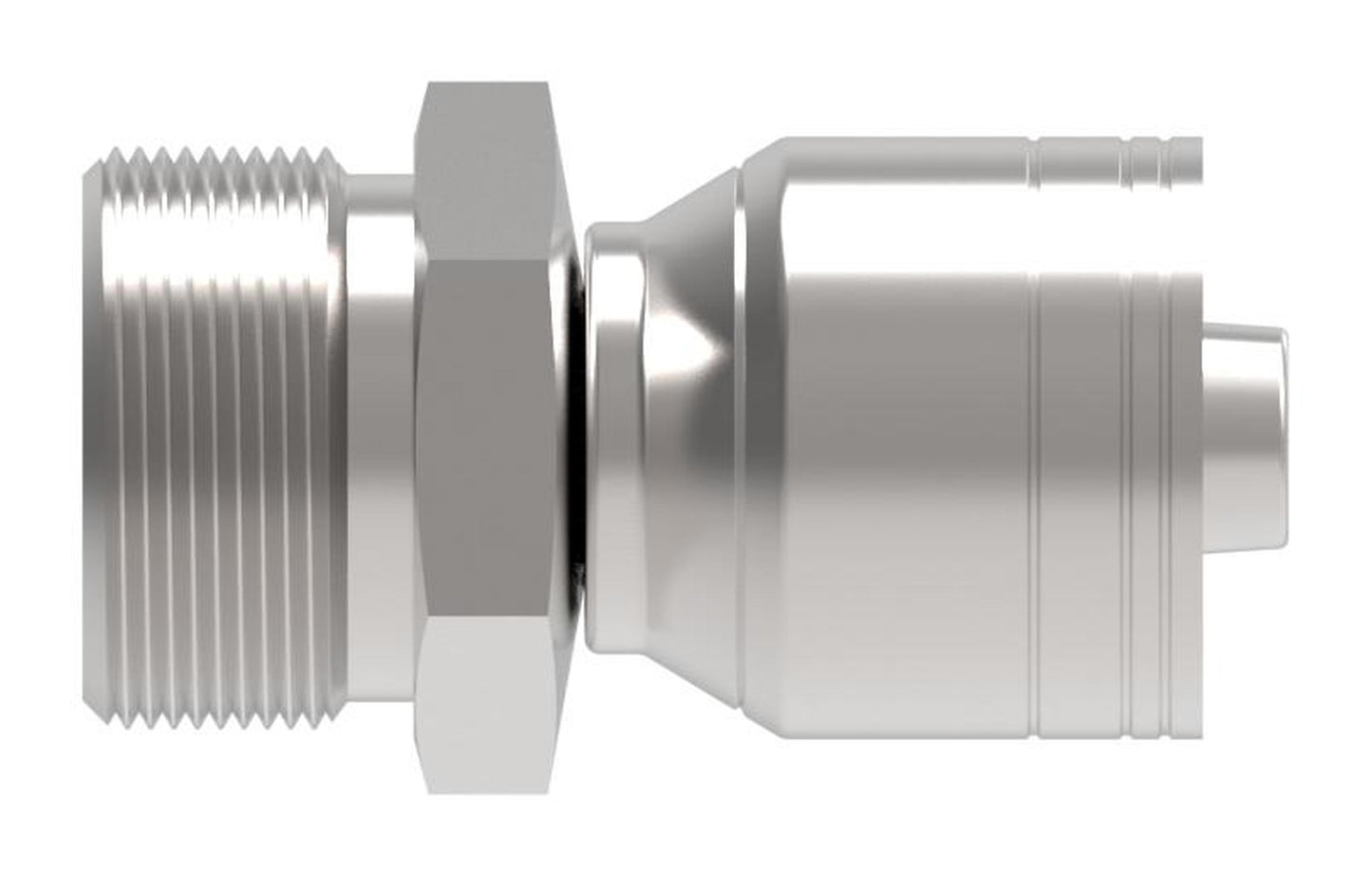 Recta — Hose Fittings 1AA12MR8 (CENTER)
