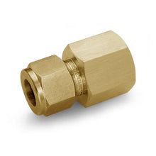 Conexión recta 766L Ham-Let — Hembra NPT