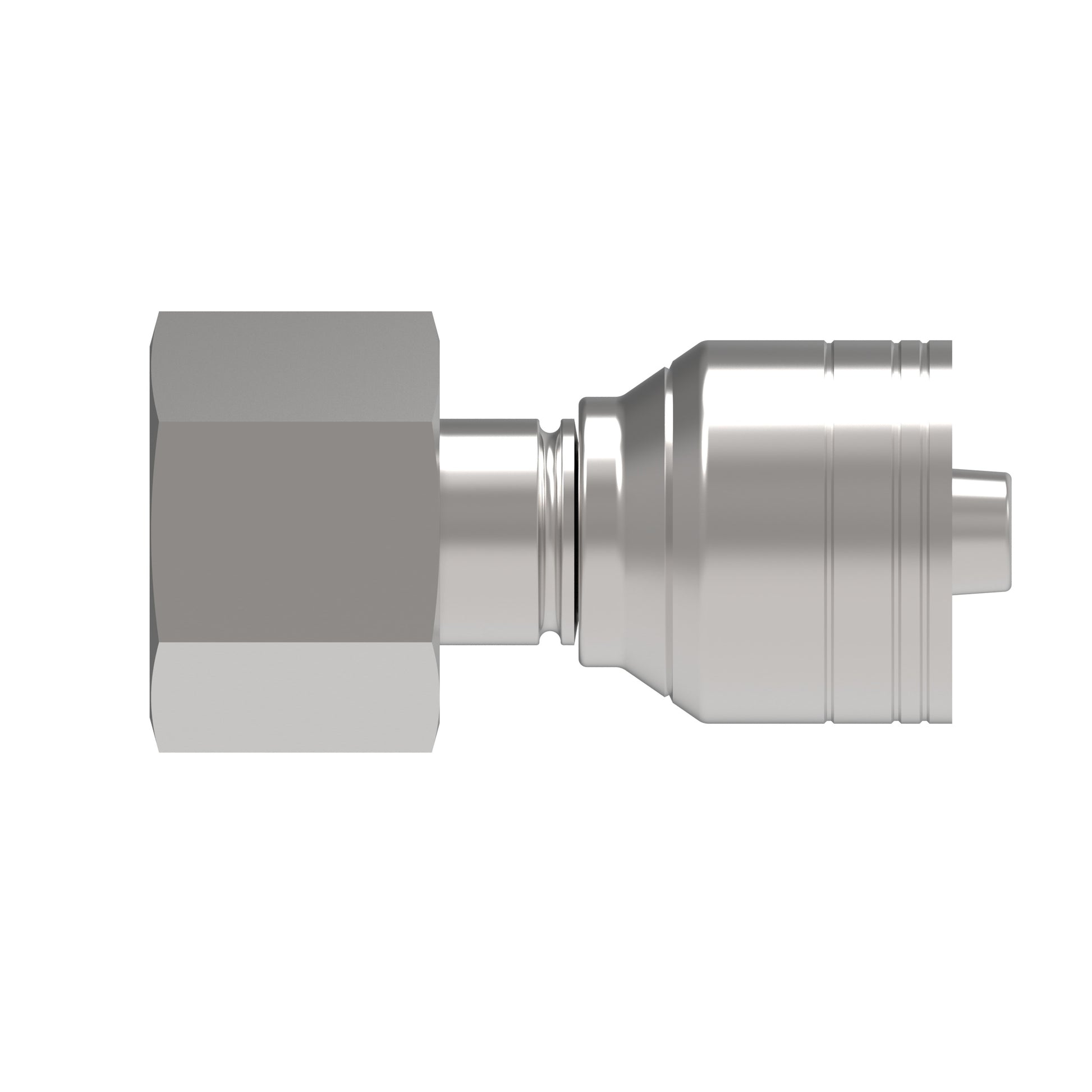 Recta — Hose Fittings 1A10DS6 (CENTER)