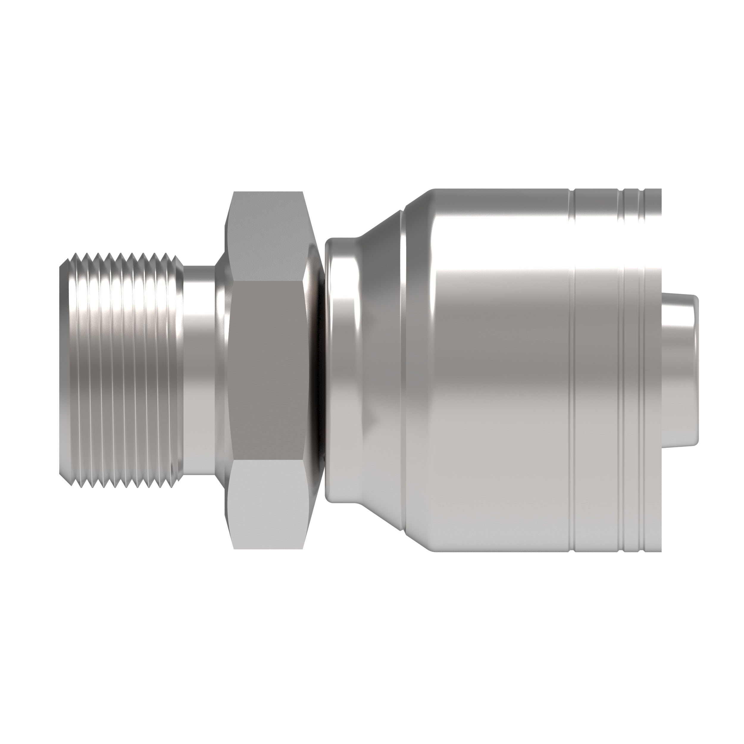 Recta — Hose Fittings 1A10BP10 [CENTER]