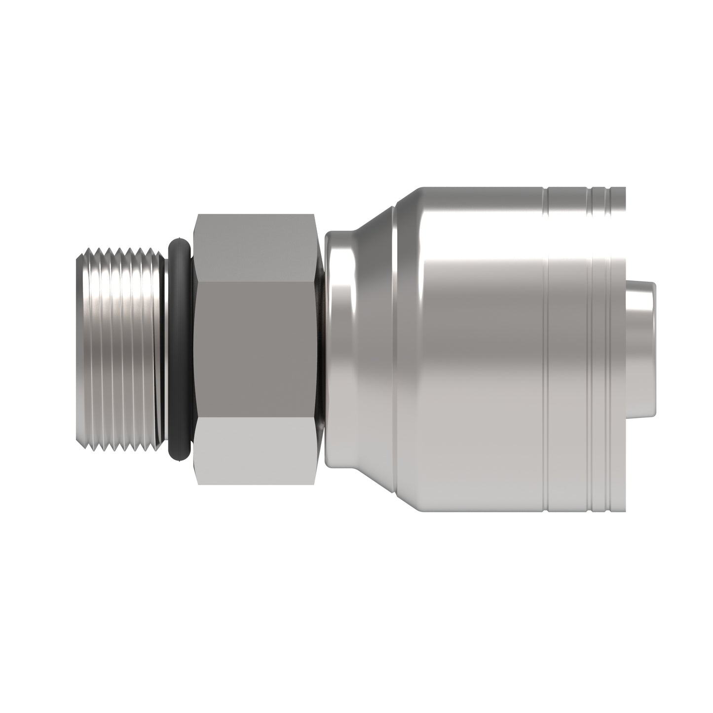 Recta — Hose Fittings 1AA10MB10 [CENTER]