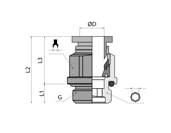 SKU:01211038-G Conexión recta neumática  en Laton Niquelado push-in 10"Ø x G3/8 BSPP  Marca Dewit